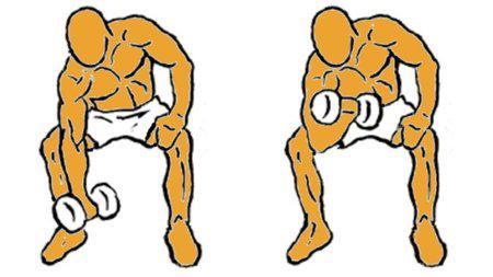 curl concentrado de biceps con mancuernas