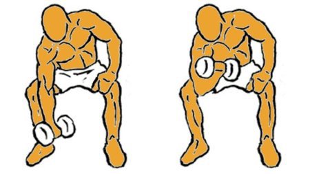 curl concentrado de biceps con mancuernas