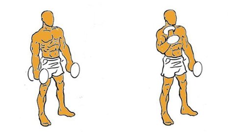 curl de biceps con mancuernas