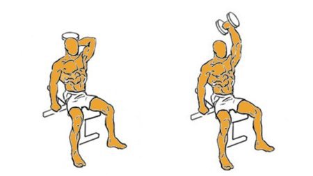 extensiones de triceps sentado con mancuernas