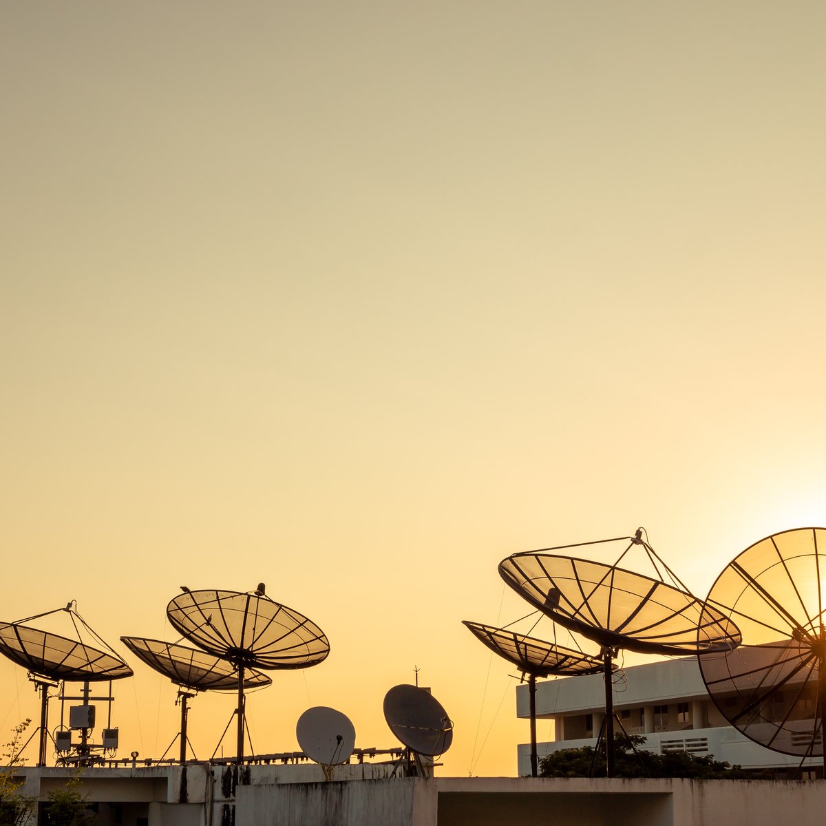 Los 5 mejores amplificadores de señal de tv: ¡que no te pare tu antena!