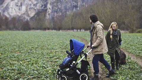 bugaboo buffalo