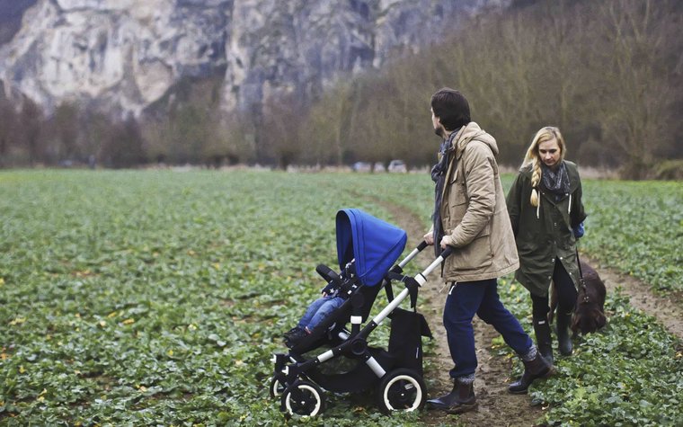 bugaboo buffalo