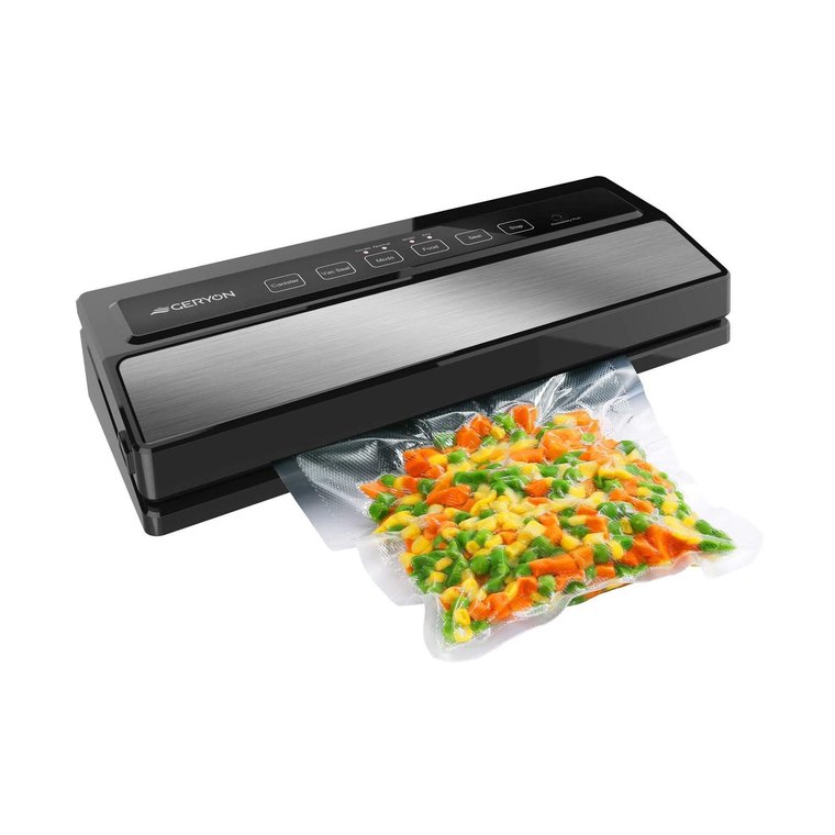geryon e2900 ms