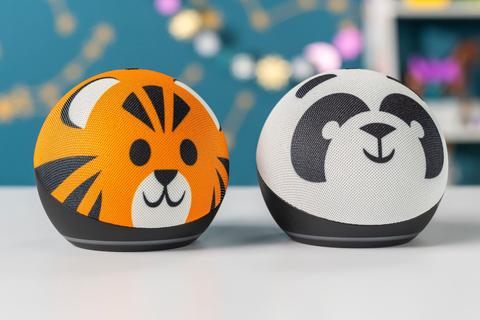 amazon echodotkids