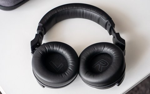 kiwi ears aventus abiertos
