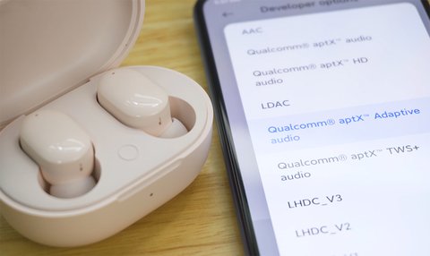 xiaomi redmi airdots 3 codecs