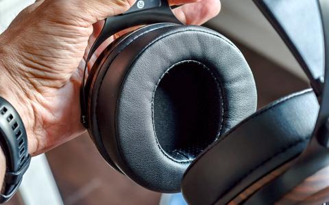 kiwi ears altruva interior copas