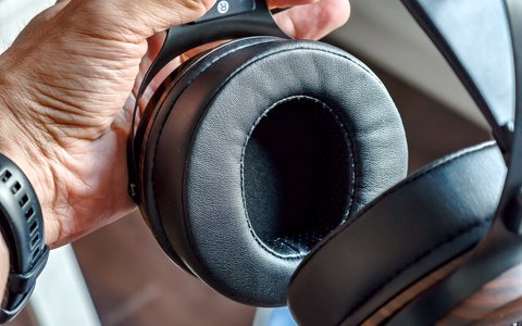 kiwi ears altruva interior copas