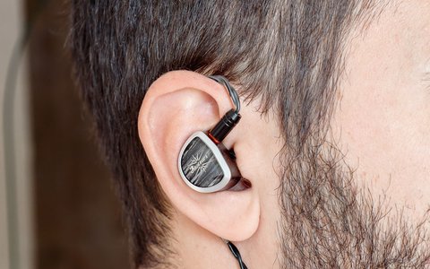 kiwi ears aether oreja