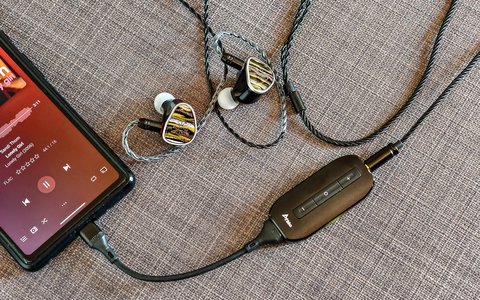 kiwi ears etude detalle calidad sonido