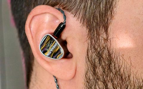 kiwi ears etude detalle oido