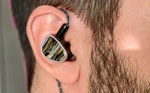 kiwi ears etude detalle oido