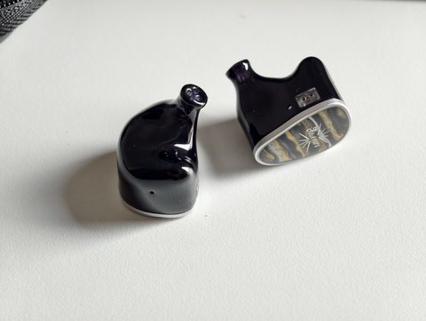 kiwi ears etude formas 2