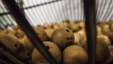 ¿ bingo suerte o habilidad?