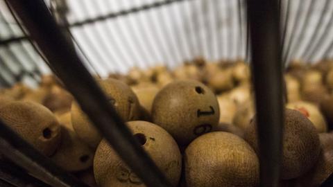 bingo suerte o habilidad