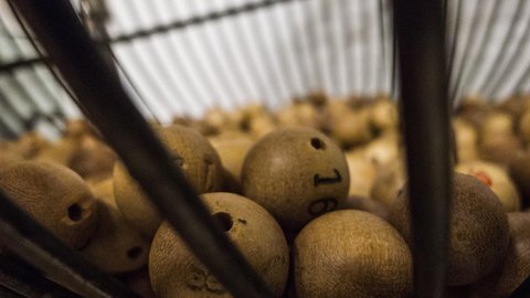 bingo suerte o habilidad