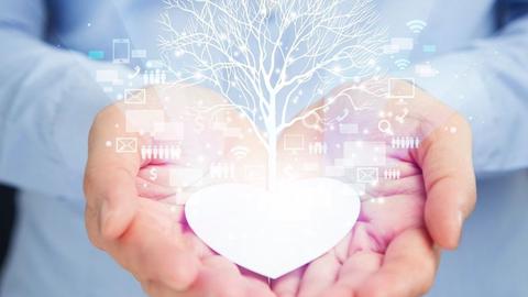 cual es significado arbol de la vida