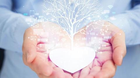 ¿ qué significa realmente el arbol de la vida?