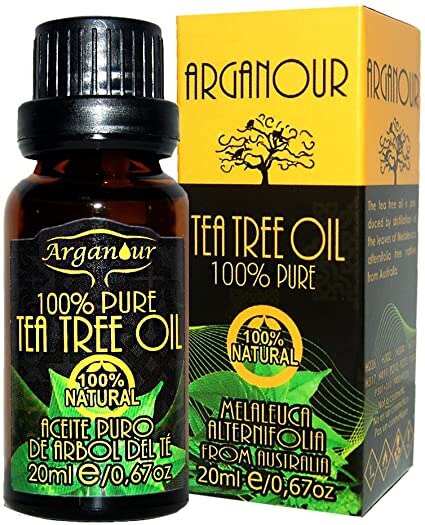 arbol te arganour