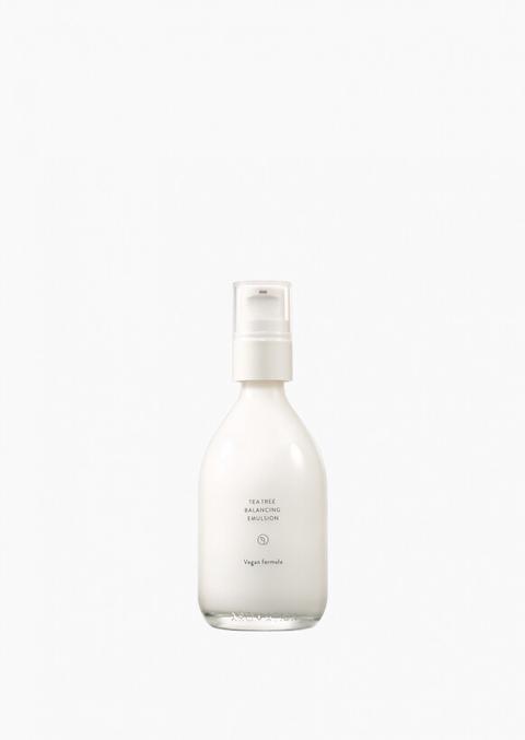 arbol te aromatica