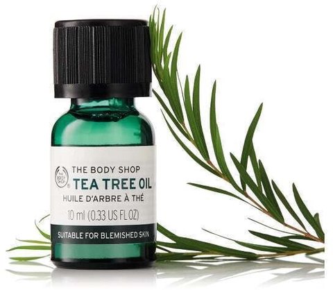 arbol te bodyshop