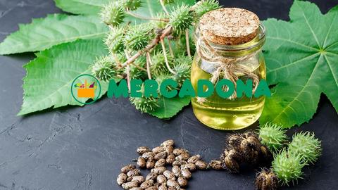 mi opinión sobre el aceite de ricino de mercadona ¿merece la pena?