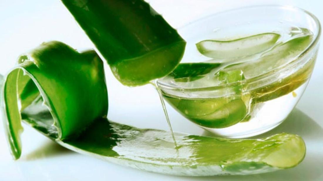 aloe vera pelo