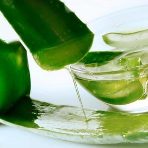 aloe vera pelo