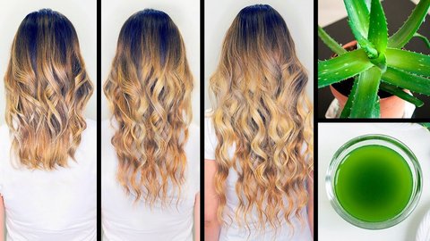 aloevera pelo