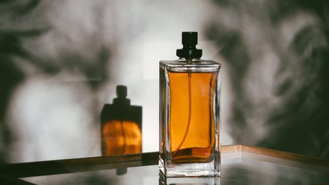 equivalencias de las fragancias saphir ¿a qué perfumes se parecen?