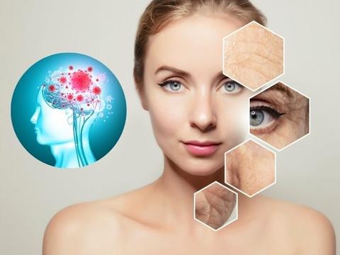 estres oxidativo que es