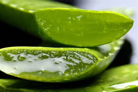 aloe piel