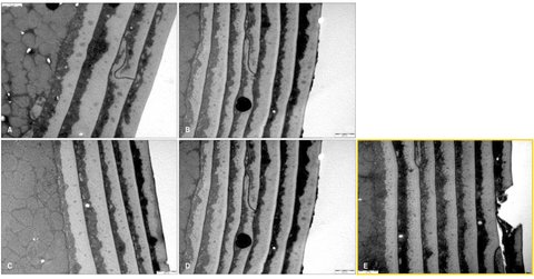 cuticula secador pelo capa externa dano