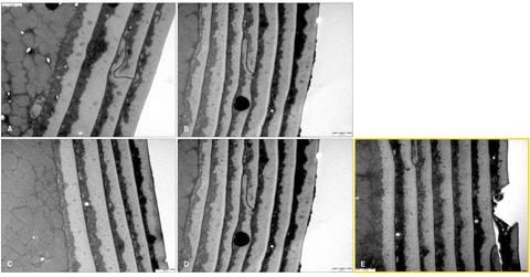 cuticula secador pelo capa externa dano