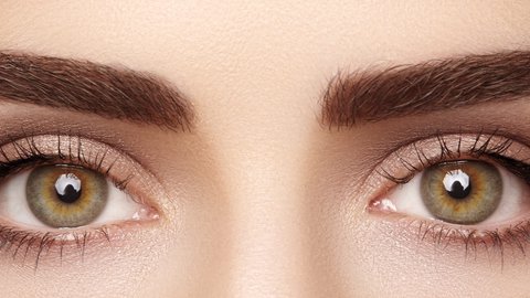 mi opinión sobre el tinte para cejas de mercadona ¿ cómo sacarle partido?