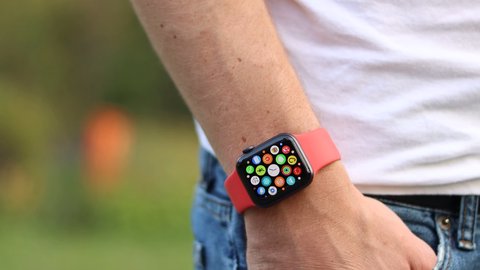 analisis apple watch se