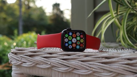apple watch se correa