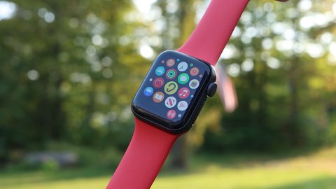 apple watch se pantalla