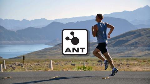 ¿ qué es a n t y a n t+? ventajas, perfiles, tipos de sensores y más