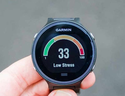 garmin fr630 stress score