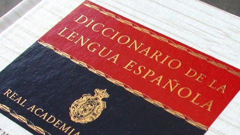 ¿ cómo se escribe? drone o dron
