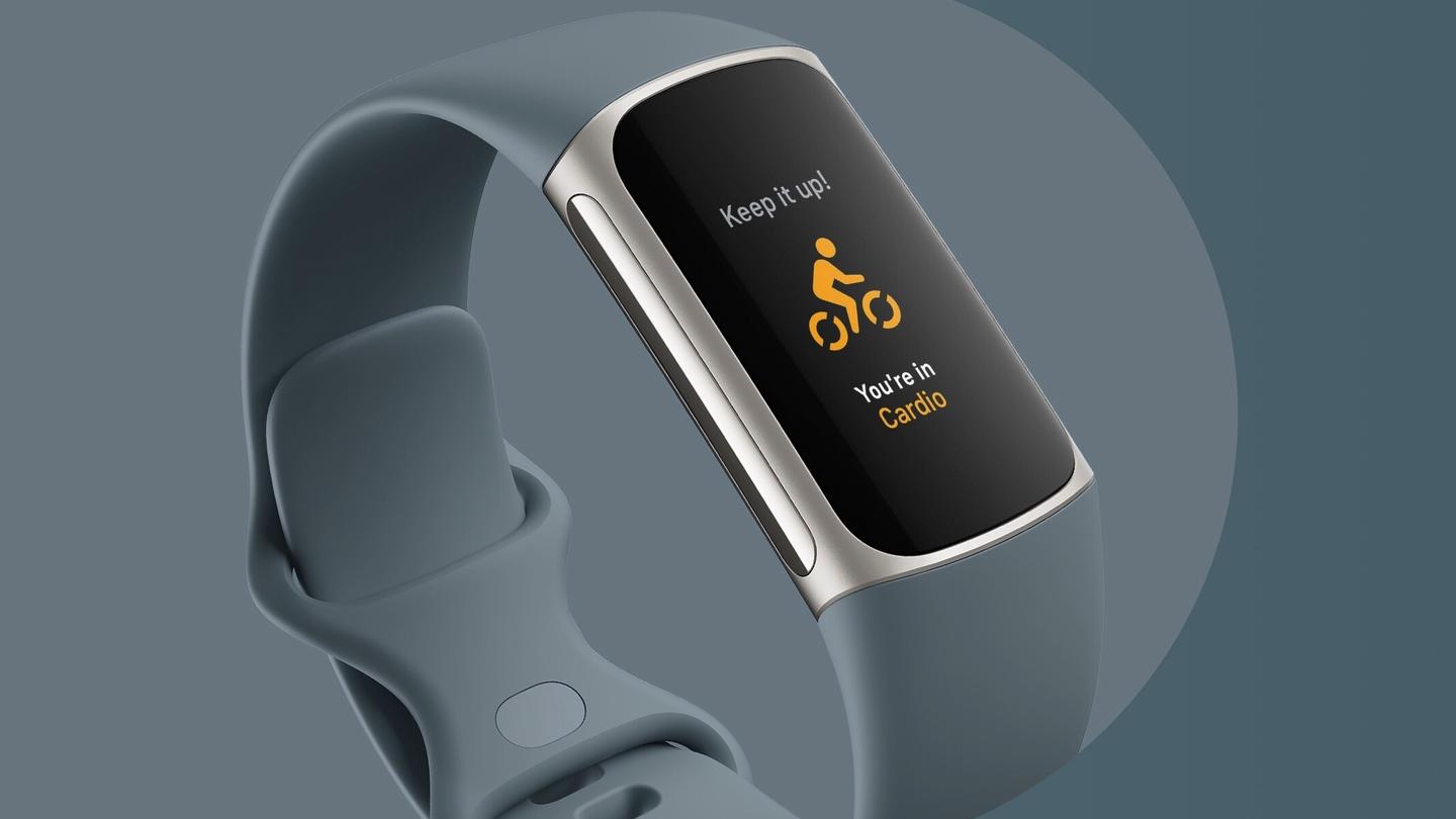 fitbit sincronizacion pc