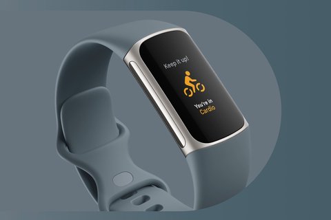 fitbit sincronizacion pc