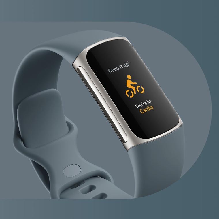 fitbit sincronizacion pc