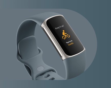 fitbit sincronizacion pc