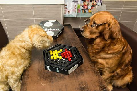 juego de mesa abalone