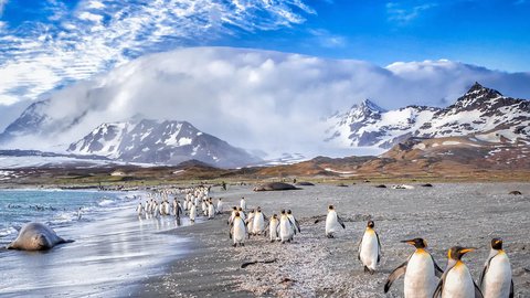 mejores series netflix our planet