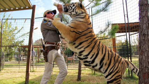 mejores series netflix tiger king