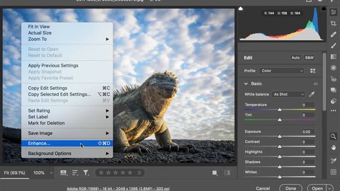 adobe presenta herramienta super resolution ia featured ejemplo